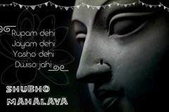 458641904_3779801618925621_7059066513814749620_n